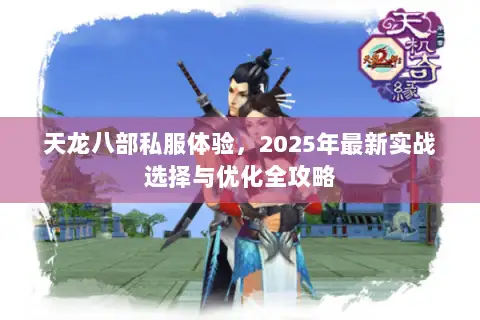 天龙八部私服体验,2025年最新实战选择与优化全攻略 天龙八部私服体验,2025年最新实战选择与优化全攻略