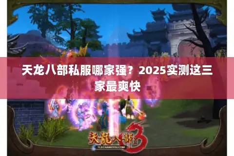 天龙八部私服哪家强？2025实测这三家最爽快