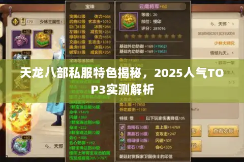 天龙八部私服特色揭秘，2025人气TOP3实测解析