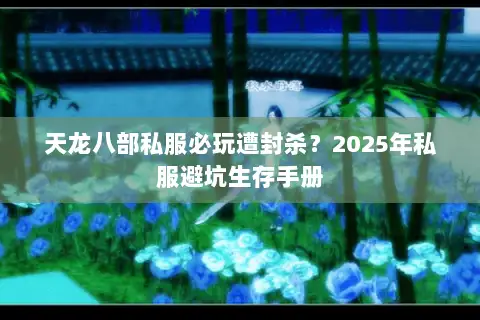 天龙八部私服必玩遭封杀？2025年私服避坑生存手册