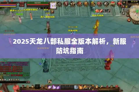 2025天龙八部私服全版本解析,新服防坑指南 2025天龙八部私服全版本解析,新服防坑指南
