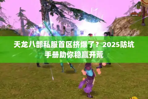 天龙八部私服首区挤爆了？2025防坑手册助你稳赢开荒