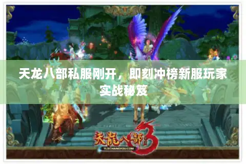 天龙八部私服刚开,即刻冲榜新服玩家实战秘笈 天龙八部私服刚开,即刻冲榜新服玩家实战秘笈