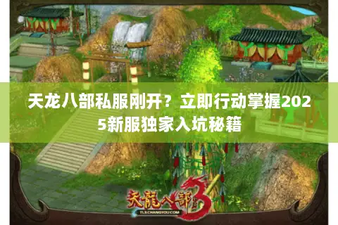 天龙八部私服刚开？立即行动掌握2025新服独家入坑秘籍