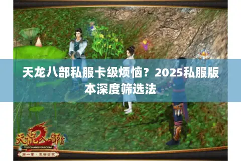 天龙八部私服卡级烦恼？2025私服版本深度筛选法