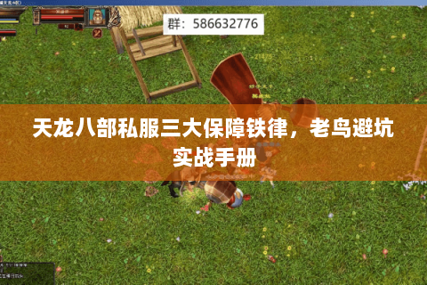 天龙八部私服三大保障铁律,老鸟避坑实战手册 天龙八部私服三大保障铁律,老鸟避坑实战手册