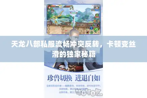 天龙八部私服流畅冲突反转，卡顿变丝滑的独家秘籍