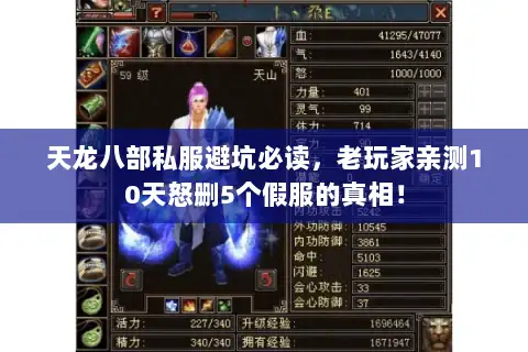 天龙八部私服避坑必读，老玩家亲测10天怒删5个假服的真相！