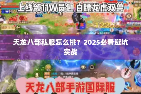 天龙八部私服怎么挑？2025必看避坑实战