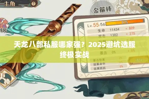 天龙八部私服哪家强？2025避坑选服终极实战
