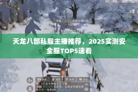 天龙八部私服主播推荐，2025实测安全服TOP5速看