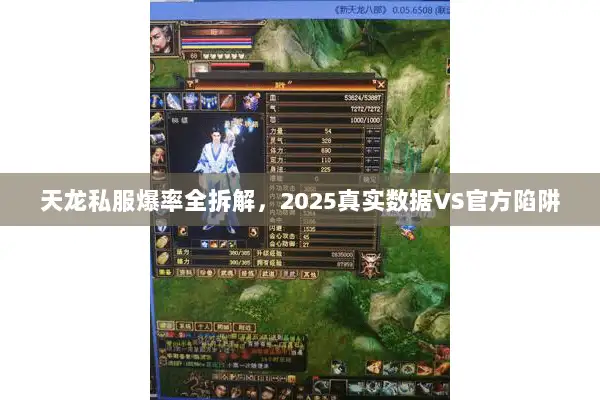 天龙私服爆率全拆解，2025真实数据VS官方陷阱