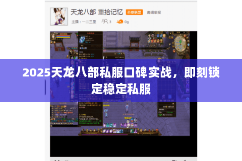 2025天龙八部私服口碑实战，即刻锁定稳定私服