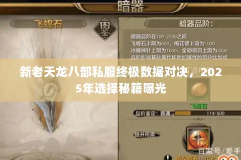 新老天龙八部私服终极数据对决，2025年选择秘籍曝光