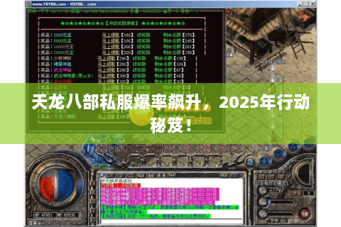 天龙八部私服爆率飙升，2025年行动秘笈！