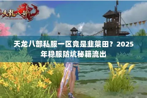 天龙八部私服一区竟是韭菜田？2025年稳服防坑秘籍流出