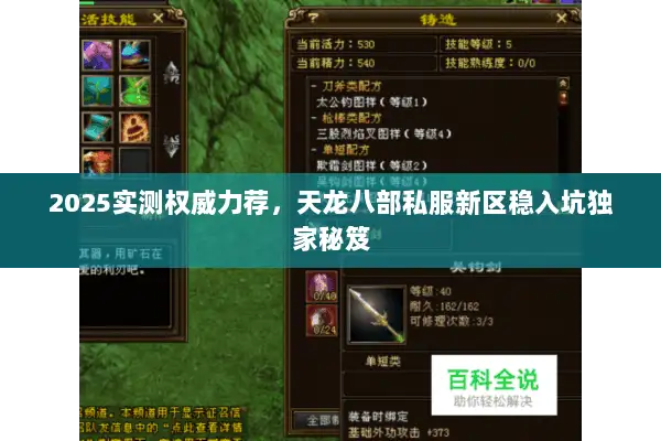 2025实测权威力荐，天龙八部私服新区稳入坑独家秘笈