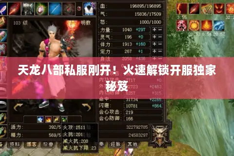 天龙八部私服刚开！火速解锁开服独家秘笈