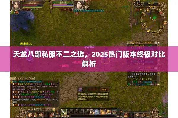 天龙八部私服不二之选,2025热门版本终极对比解析 天龙八部私服不二之选,2025热门版本终极对比解析