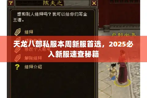 天龙八部私服本周新服首选,2025必入新服速查秘籍 天龙八部私服本周新服首选,2025必入新服速查秘籍
