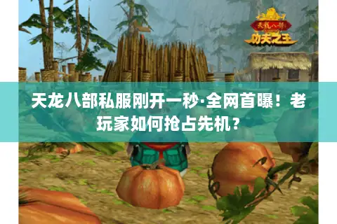 天龙八部私服刚开一秒·全网首曝!老玩家如何抢占先机? 天龙八部私服刚开一秒·全网首曝!老玩家如何抢占先机?