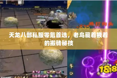 天龙八部私服零氪首选，老鸟藏着掖着的搬砖秘技