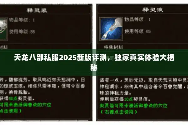 天龙八部私服2025新版评测，独家真实体验大揭秘