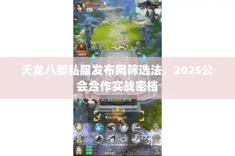 天龙八部私服发布网筛选法，2025公会合作实战密档