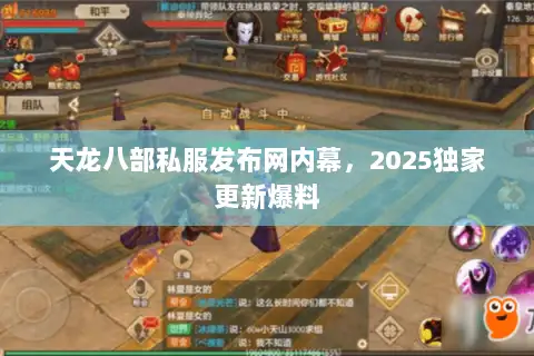 天龙八部私服发布网内幕，2025独家更新爆料