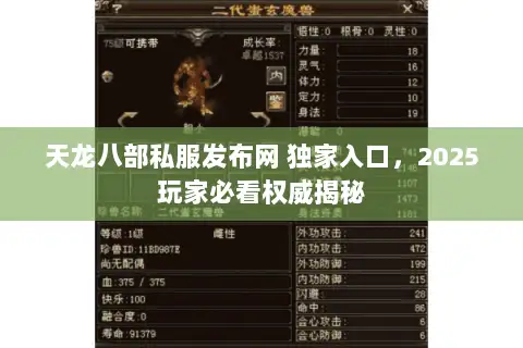 天龙八部私服发布网 独家入口，2025玩家必看权威揭秘