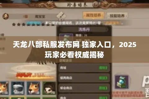 天龙八部私服发布网 独家入口，2025玩家必看权威揭秘