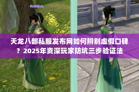 天龙八部私服发布网如何辨别虚假口碑?2025年资深玩家防坑三步验证法 天龙八部私服发布网如何辨别虚假口碑?2025年资深玩家防坑三步验证法