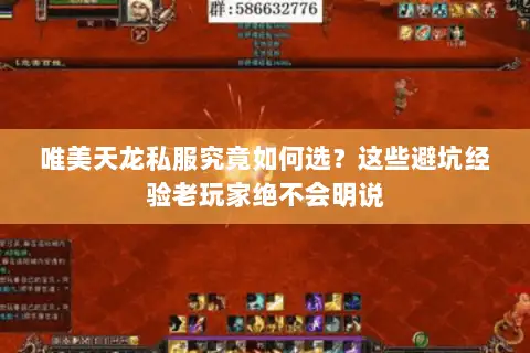 唯美天龙私服究竟如何选?这些避坑经验老玩家绝不会明说 唯美天龙私服究竟如何选?这些避坑经验老玩家绝不会明说