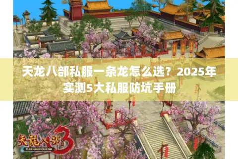天龙八部私服一条龙怎么选?2025年实测5大私服防坑手册 天龙八部私服一条龙怎么选?2025年实测5大私服防坑手册
