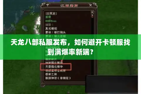 天龙八部私服发布，如何避开卡顿服找到满爆率新端？
