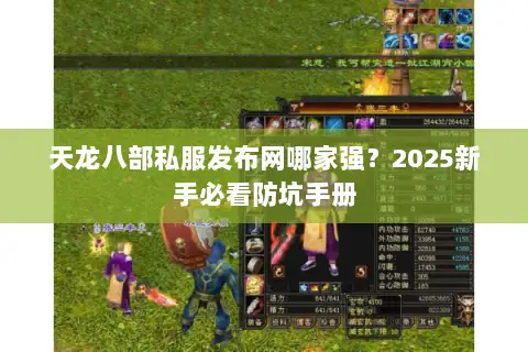 天龙八部私服发布网哪家强？2025新手必看防坑手册