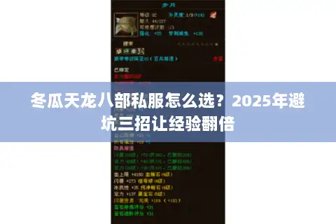 冬瓜天龙八部私服怎么选？2025年避坑三招让经验翻倍