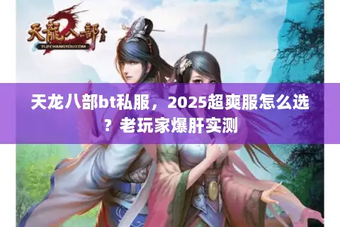 天龙八部bt私服,2025超爽服怎么选?老玩家爆肝实测 天龙八部bt私服,2025超爽服怎么选?老玩家爆肝实测