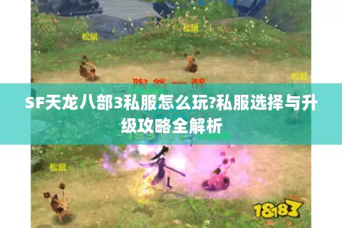 SF天龙八部3私服怎么玩?私服选择与升级攻略全解析