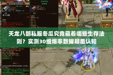 天龙八部私服冬瓜究竟藏着哪些生存法则？实测30组爆率数据颠覆认知