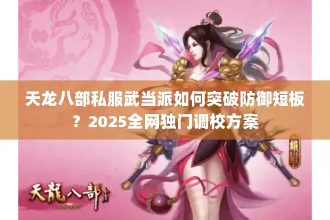 天龙八部私服武当派如何突破防御短板？2025全网独门调校方案
