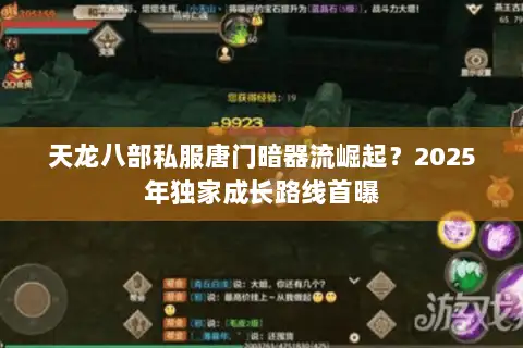 天龙八部私服唐门暗器流崛起?2025年独家成长路线首曝 天龙八部私服唐门暗器流崛起?2025年独家成长路线首曝