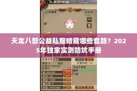 天龙八部公益私服暗藏哪些套路？2025年独家实测防坑手册