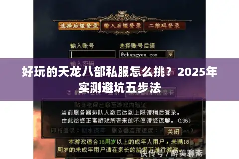 好玩的天龙八部私服怎么挑？2025年实测避坑五步法