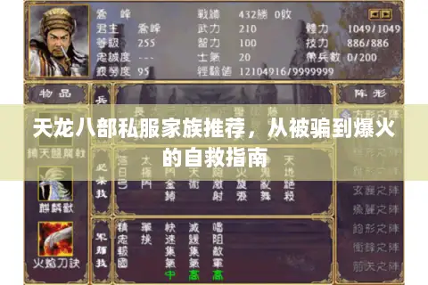 天龙八部私服家族推荐,从被骗到爆火的自救指南 天龙八部私服家族推荐,从被骗到爆火的自救指南