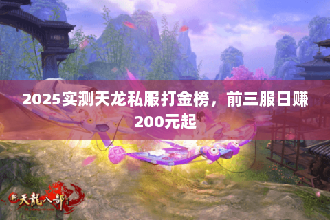 2025实测天龙私服打金榜,前三服日赚200元起 2025实测天龙私服打金榜,前三服日赚200元起