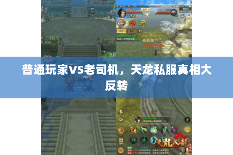 普通玩家VS老司机，天龙私服真相大反转
