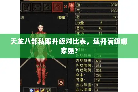 天龙八部私服升级对比表，速升满级哪家强？
