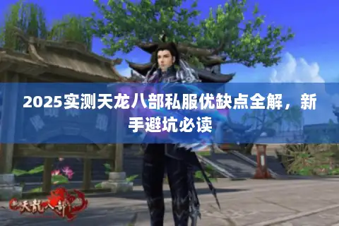 2025实测天龙八部私服优缺点全解，新手避坑必读