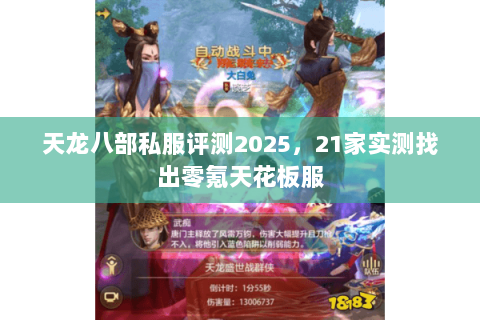 天龙八部私服评测2025，21家实测找出零氪天花板服